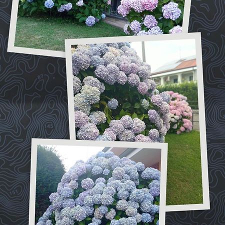 B&B L'Ortensia Vignolo 외부 사진
