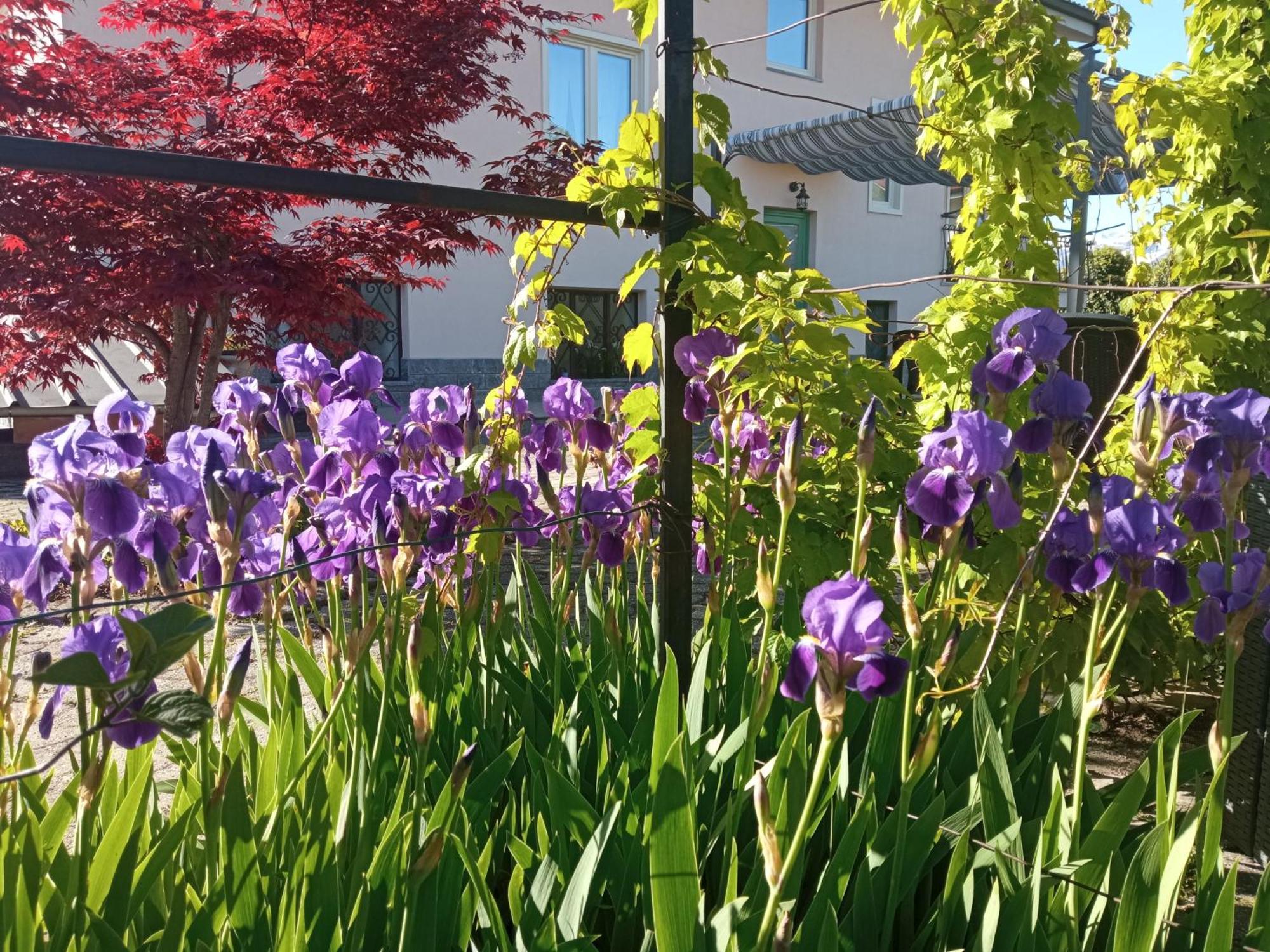 B&B L'Ortensia Vignolo 외부 사진