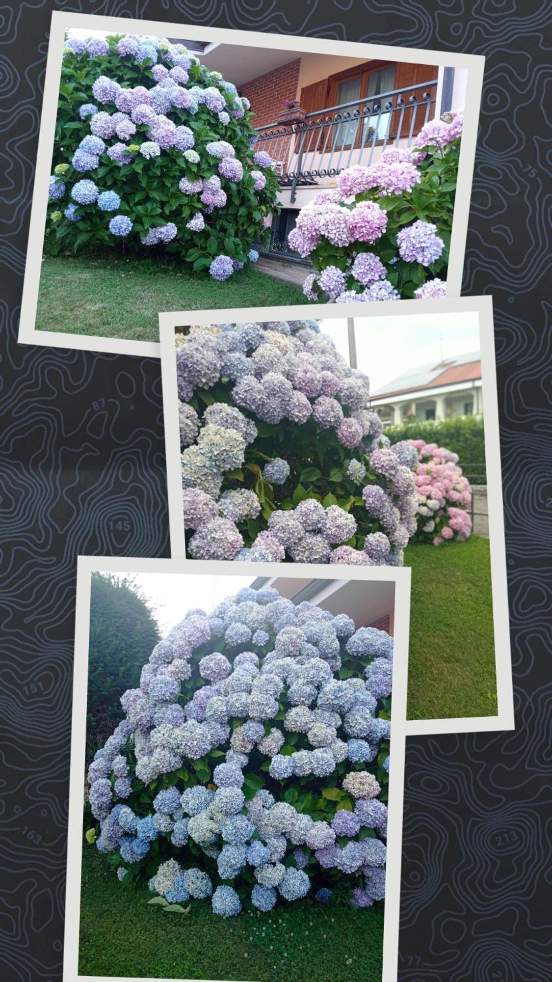 B&B L'Ortensia Vignolo 외부 사진