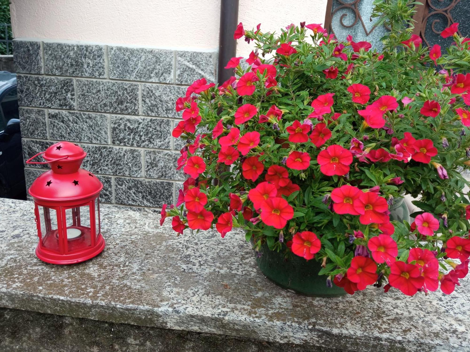 B&B L'Ortensia Vignolo 외부 사진